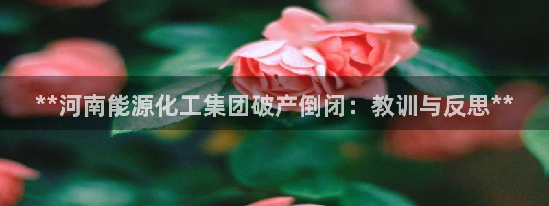 球盟会可以提现么是真的吗：**河南能源化工集团破产倒闭：教训