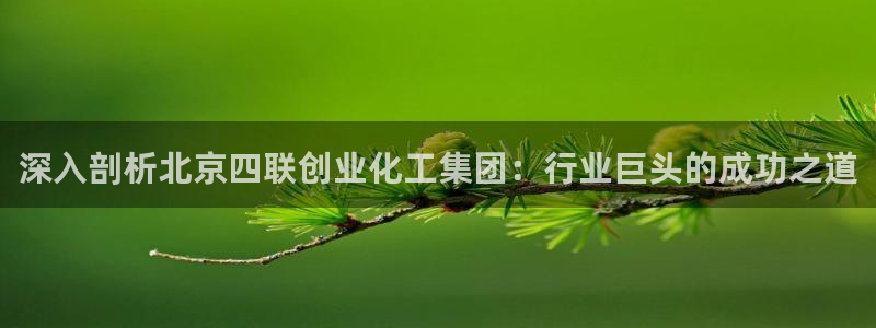 球盟会下载最新版