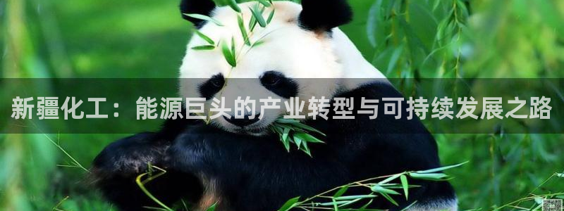 球盟会可靠不