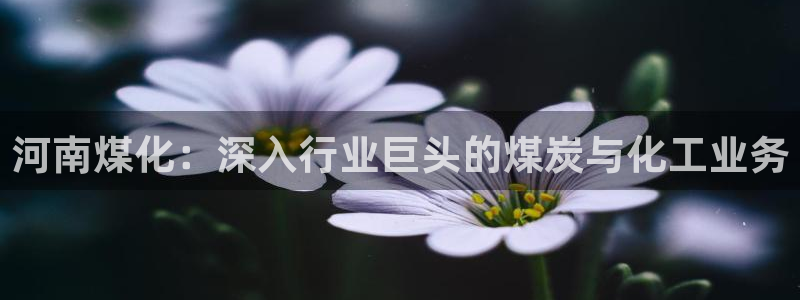 球盟会网页登录app下载地址