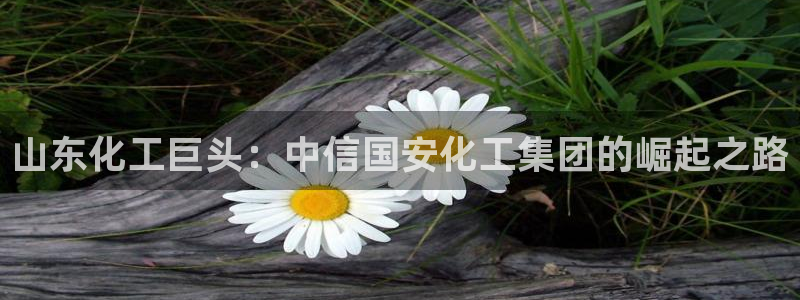 球盟会游戏几点玩合适