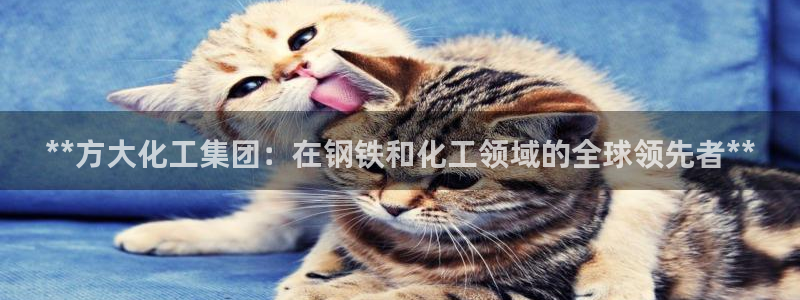 球盟会综合体育平台：**方大化工集团：在钢铁和化工领域的全球