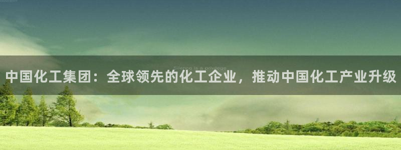 球盟会贴吧：中国化工集团：全球领先的化工企业，推动中国化工产