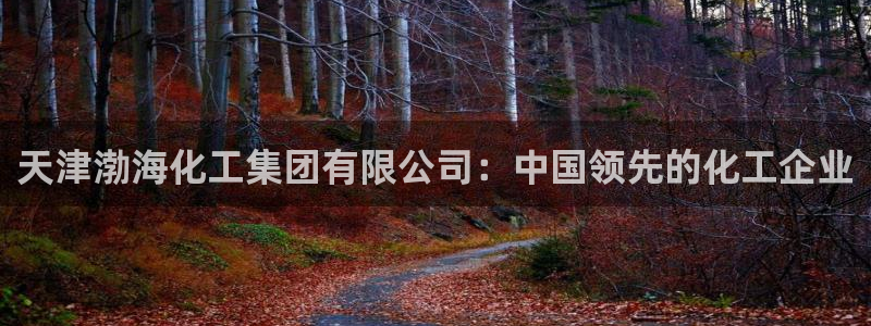 球盟会qmh - 球盟会官方网站：天津渤海化工集团有限公司：