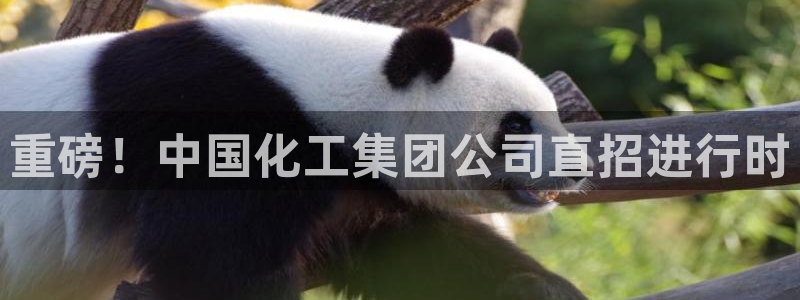 球盟会类似的网站