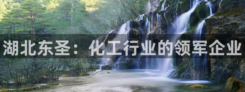 球盟会官方网站是什么