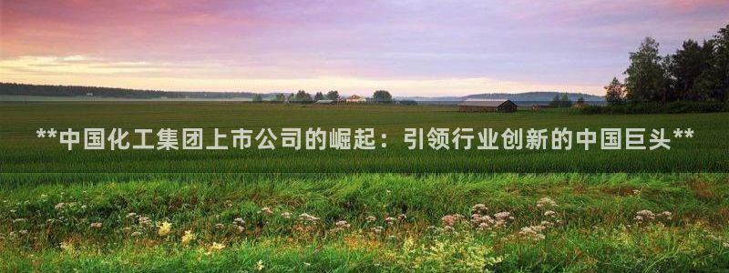 球盟会和中欧合作吗：**中国化工集团上市公司的崛起：引领行业