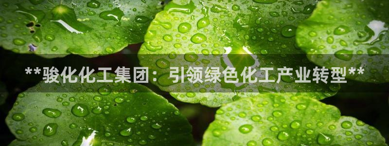 球盟会黑款吗知乎