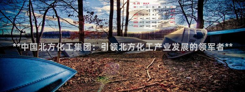 球盟会qmh网页版登录：**中国北方化工集团：引领北方化工产