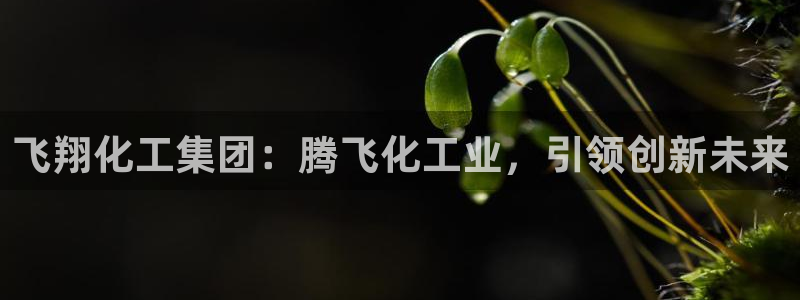 球盟会吧