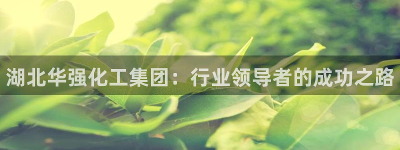 球盟会娱乐平台