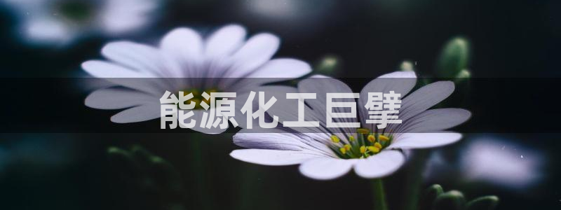 球盟会最新活动：能源化工巨擘