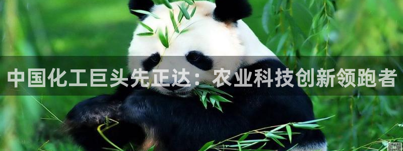 球盟会能退钱吗是真的吗