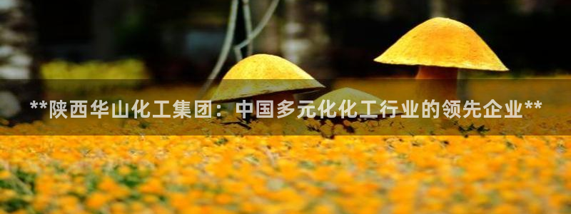 球盟会黑款吗知乎小说：**陕西华山化工集团：中国多元化化工行