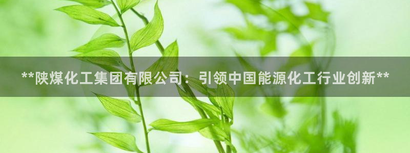 球盟会网页登录入口：**陕煤化工集团有限公司：引领中国能源化