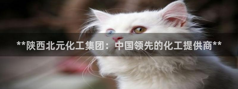 球盟会app最新地址在哪看：**陕西北元化工集团：中国领先的