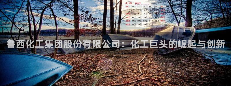 球盟会官方下载：鲁西化工集团股份有限公司：化工巨头的崛起与创