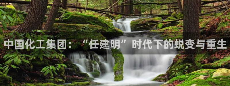 球盟会电子