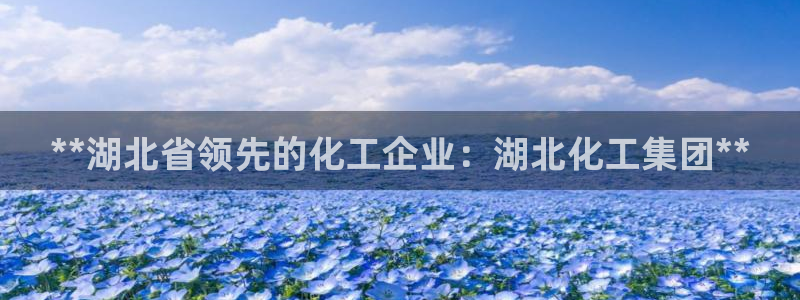 球盟会邮箱