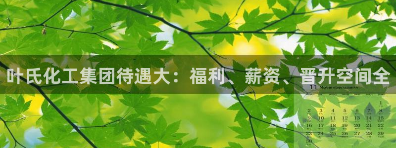 球盟会qmh