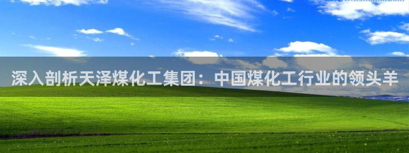 球盟会在线网站