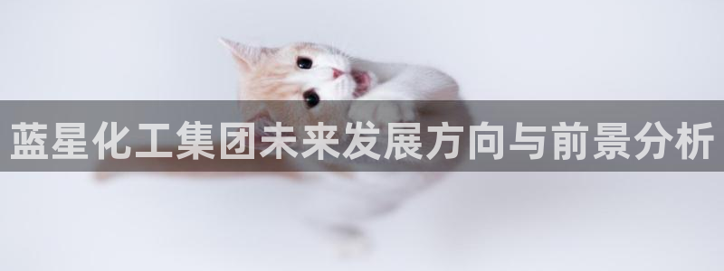 球盟会官方版下载地址：蓝星化工集团未来发展方向与前景分析