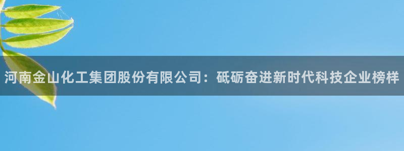 球盟会和中欧合作吗：河南金山化工集团股份有限公司：砥砺奋进新