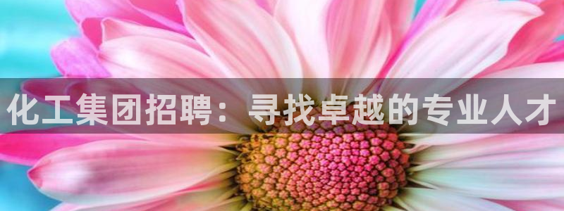 千亿球盟会：化工集团招聘：寻找卓越的专业人才