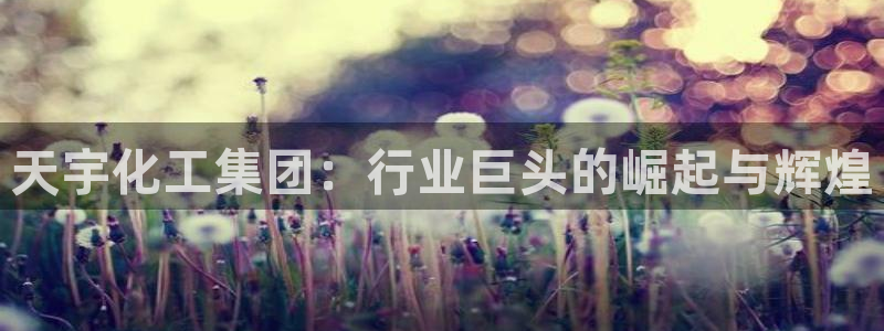 球盟会qmh网页版登录