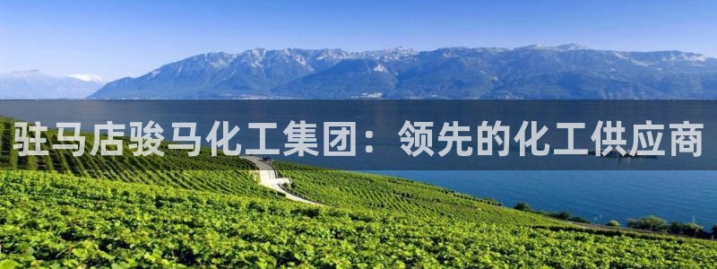 球盟会可以提现么是真的吗：驻马店骏马化工集团：领先的化工供应