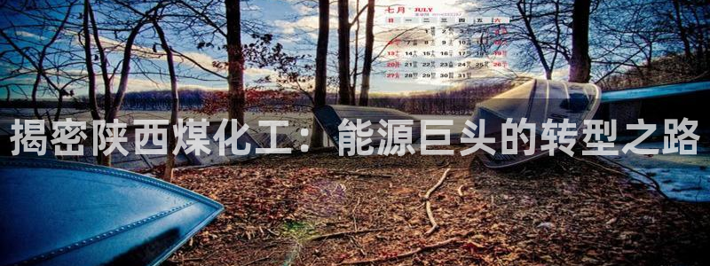 球盟会黑款吗