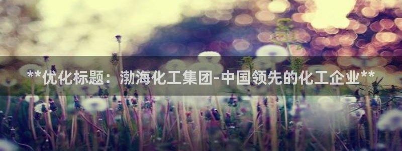 球盟会提款支付宝怎么样：**优化标题：渤海化工集团-中国领先