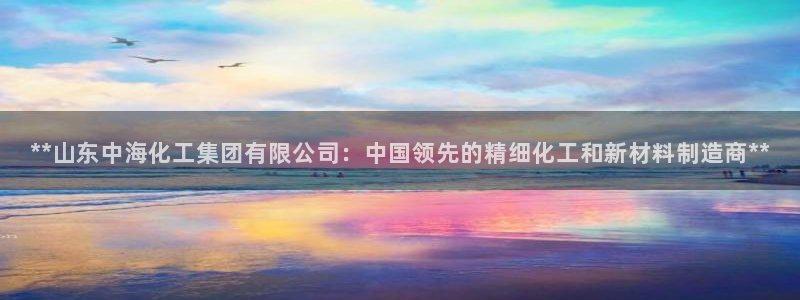 球盟会进不去吗：**山东中海化工集团有限公司：中国领先的精细