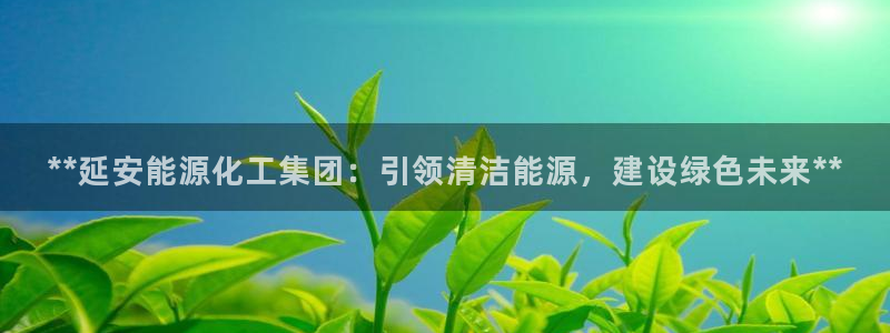球盟会登录平台入口：**延安能源化工集团：引领清洁能源，建设