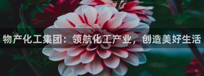 球盟会黑款吗还是白款