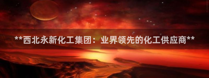 球盟会APP官网：**西北永新化工集团：业界领先的化工供应商