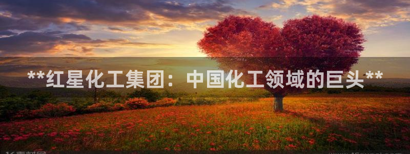 球盟会类似的网站