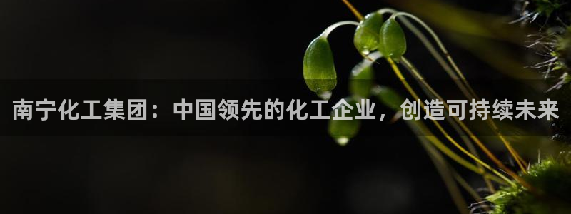 球盟会进不去吗：南宁化工集团：中国领先的化工企业，创造可持续