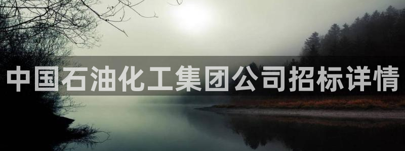 球盟会电子