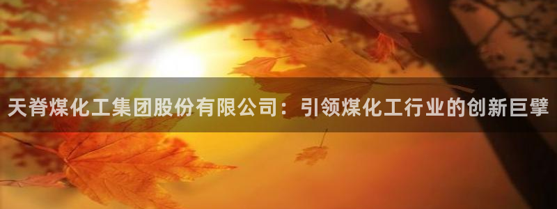 球盟会黑台子：天脊煤化工集团股份有限公司：引领煤化工行业的创