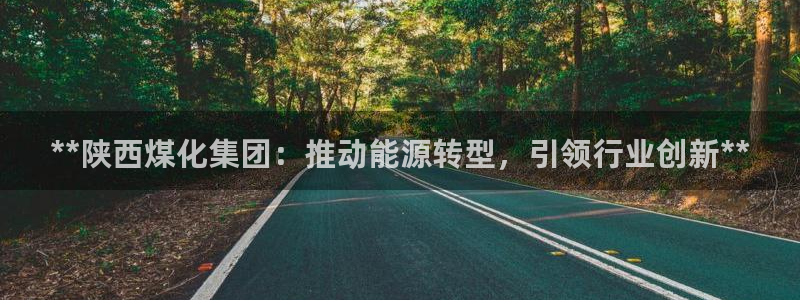 球盟会：**陕西煤化集团：推动能源转型，引领行业创新**