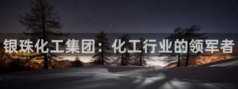 球盟会官方网址入口
