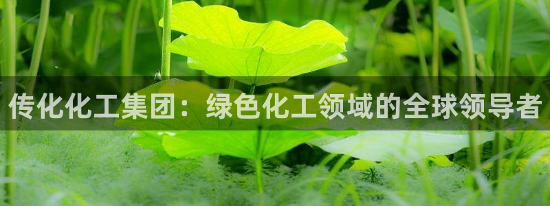 球盟会官方最新入口：传化化工集团：绿色化工领域的全球领导者