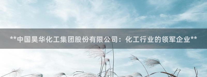 球盟会网页版：**中国昊华化工集团股份有限公司：化工行业的领