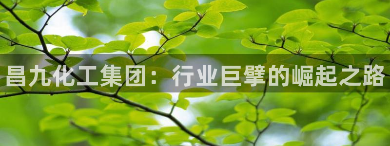 球盟会APP最新地址
