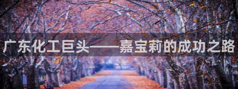 千亿球盟会乐玩