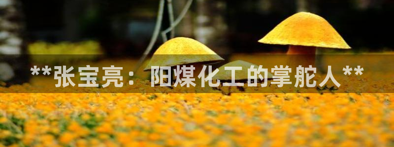 球盟会app最新地址在哪看