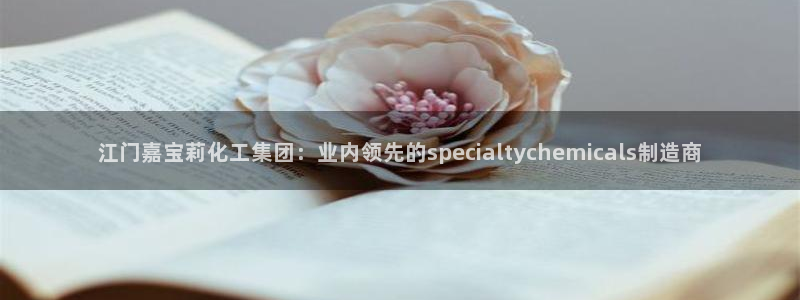 球盟会进不去吗：江门嘉宝莉化工集团：业内领先的special