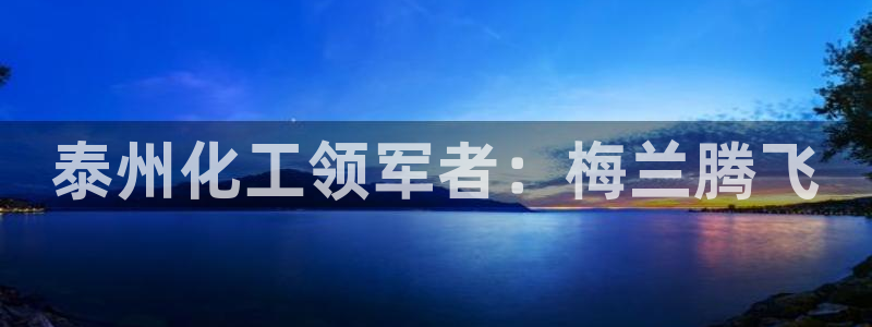 球盟会黑钱：泰州化工领军者：梅兰腾飞