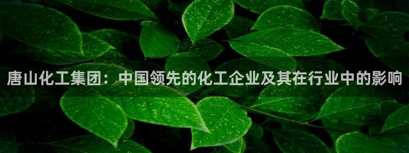 球盟会平台会黑单吗：唐山化工集团：中国领先的化工企业及其在行